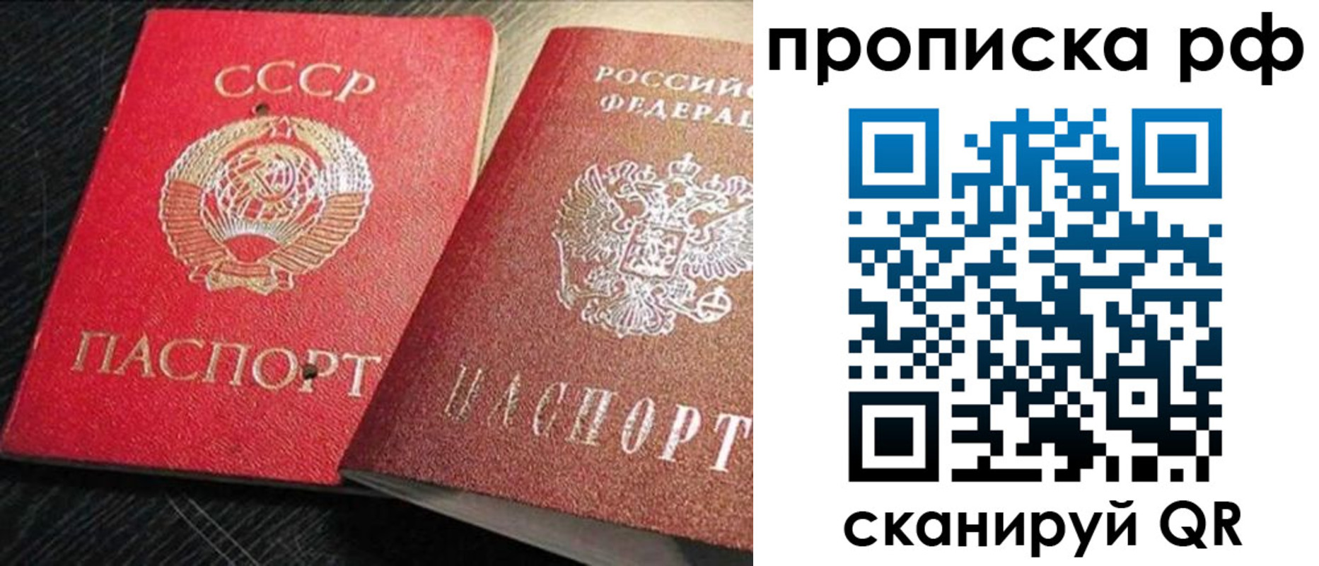 где прописаться в Черноголовке